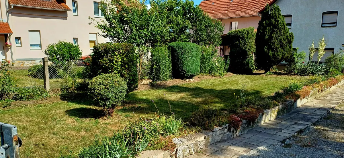 Gepflegte Rasenfläche mit Formschnittgehölzen vor einer Wohnanlage
