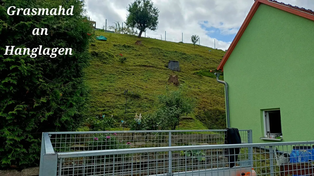 Frisch gemähter Grashang an einer Hanglage