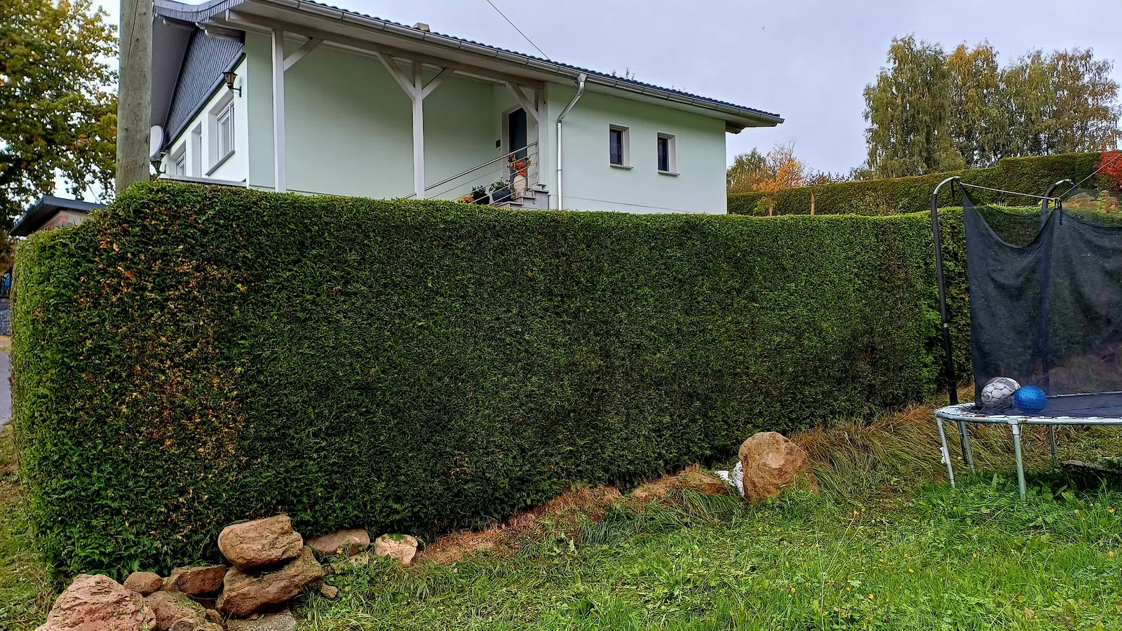 Lange, exakt geschnittene Hecke in einem Wohngarten